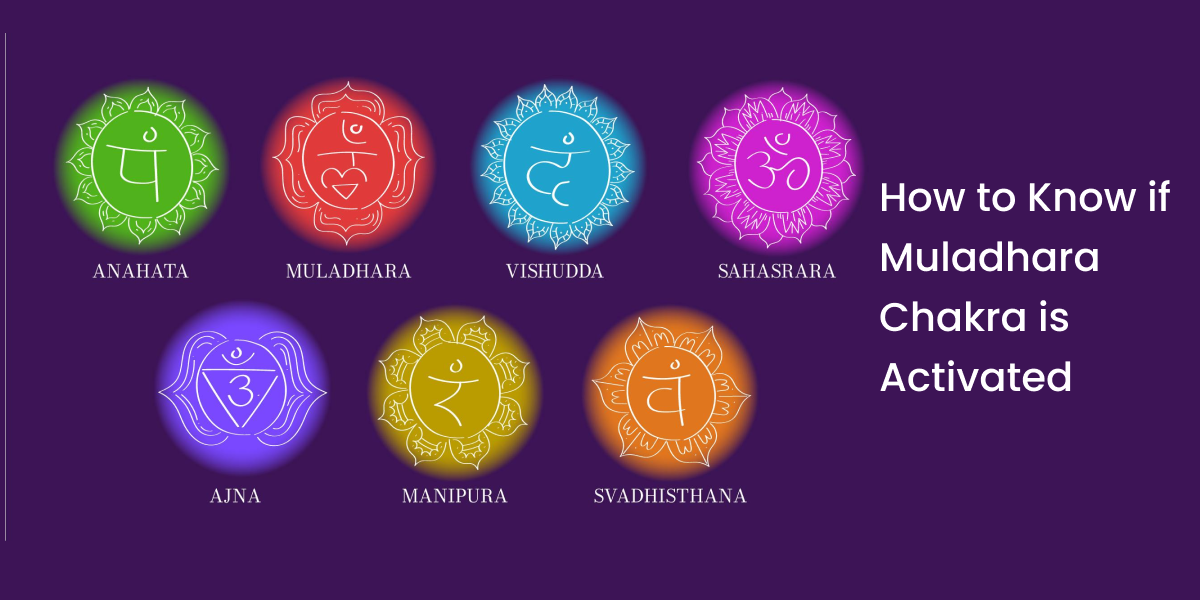 How to Know if Muladhara Chakra is Activated